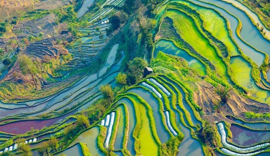 宝妈必备神器：巴南区产品视频拍摄轻松育儿好帮手