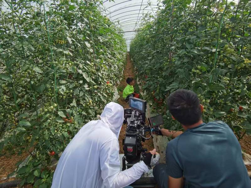 巴南区产品宣传视频拍摄公司进阶指南，助力品牌抢占传播高地